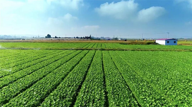 1543458200198678g1vF.jpg 4.jpg